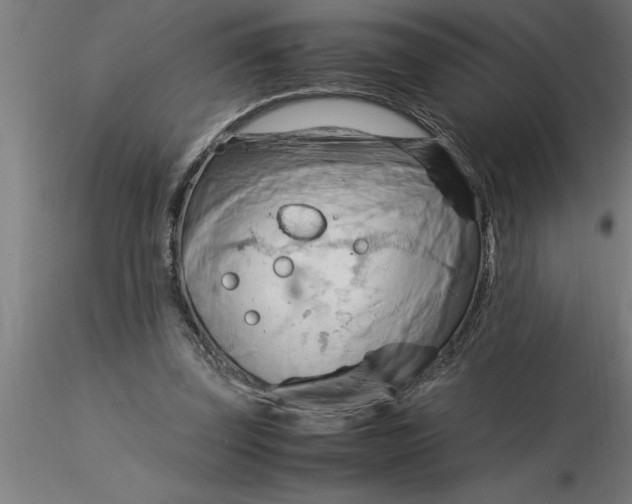 X0000116370347200912231320