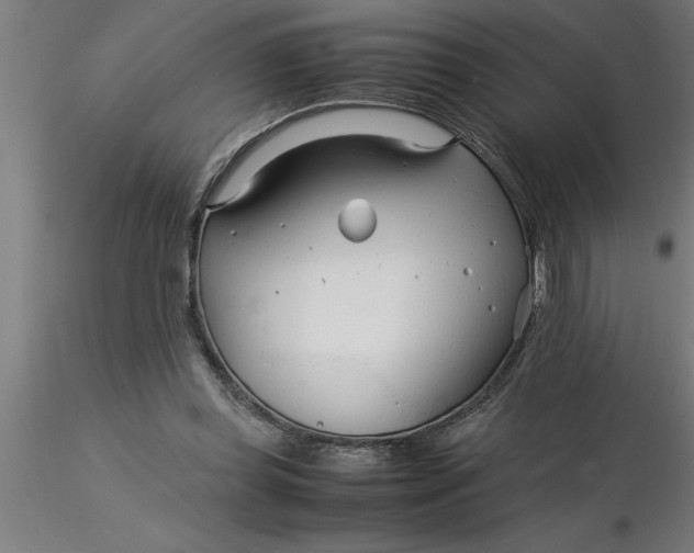 X0000116370349200912231320