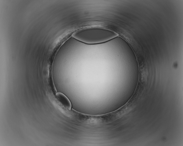 X0000116370350200912231320