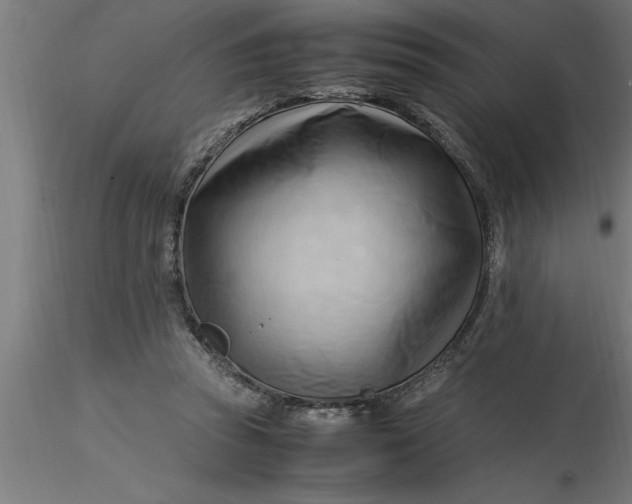 X0000116370353200912231320