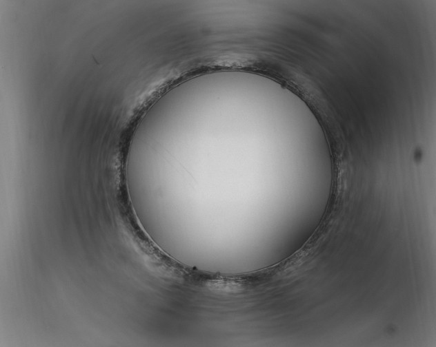 X0000116370354200912231320