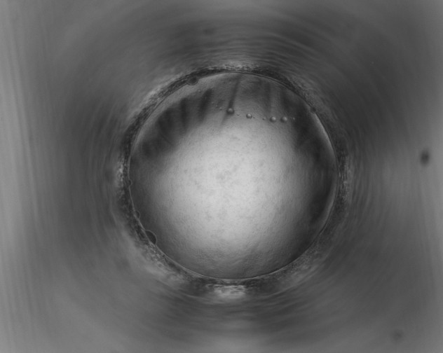 X0000116370355200912231320