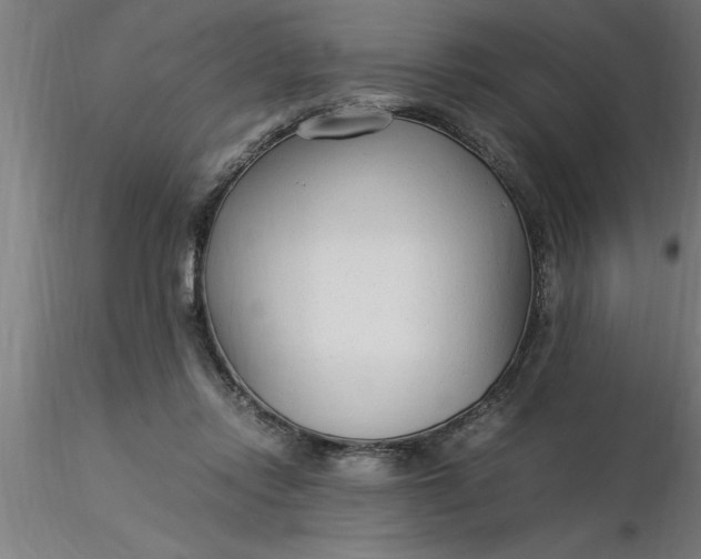 X0000116370358200912231320