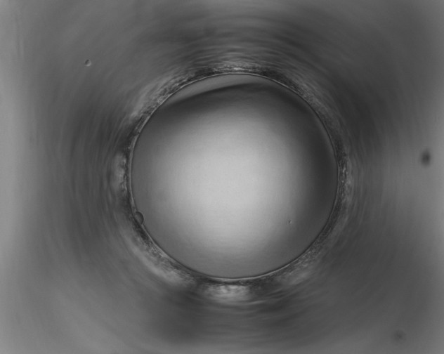 X0000116370361200912231320