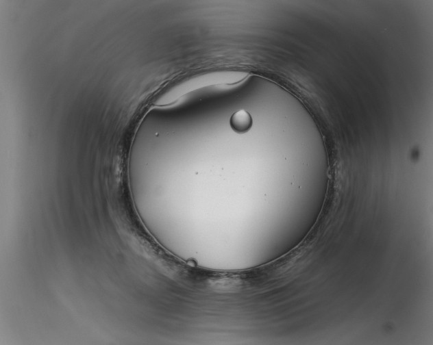 X0000116370362200912231321