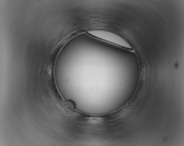 X0000116370363200912231321