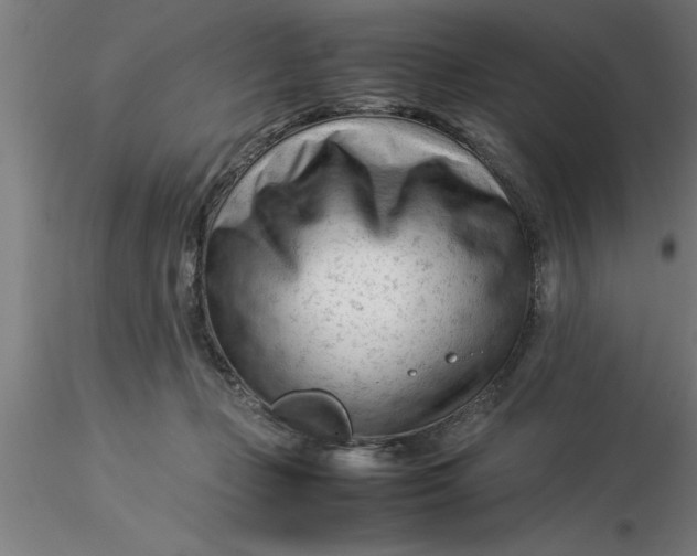 X0000116370365200912231321