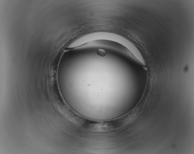 X0000116370366200912231321