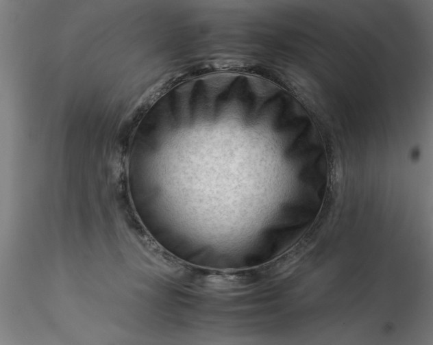 X0000116370367200912231321