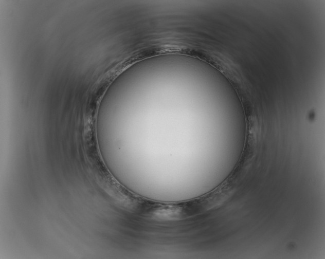 X0000116370369200912231321