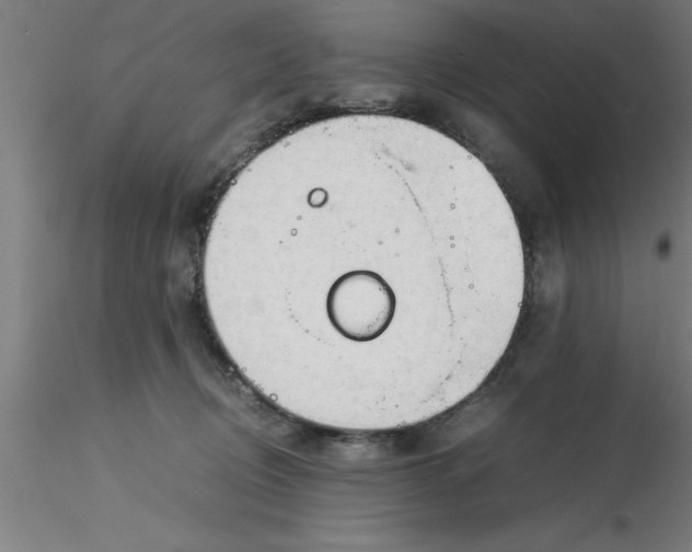 X0000116370370200912231321