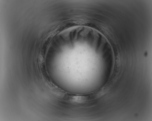 X0000116370371200912231321