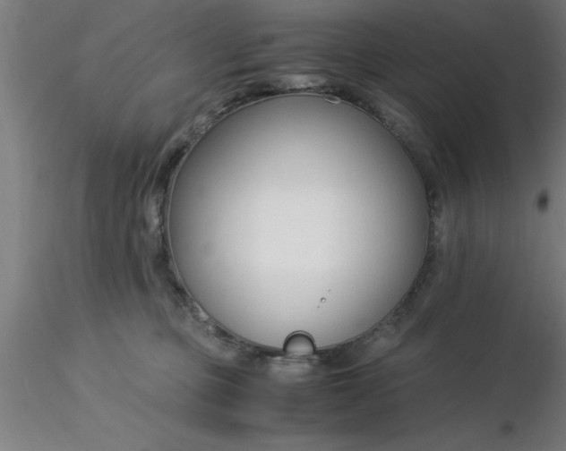 X0000116370373200912231321