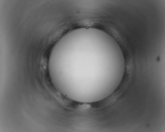 X0000116370374200912231321