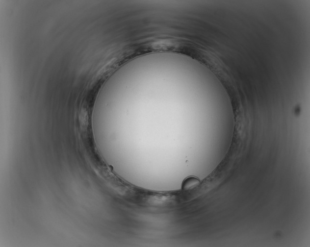 X0000116370375200912231321