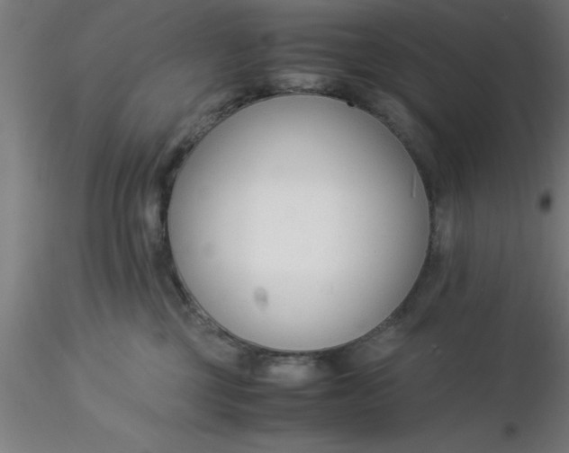 X0000116370377200912231321