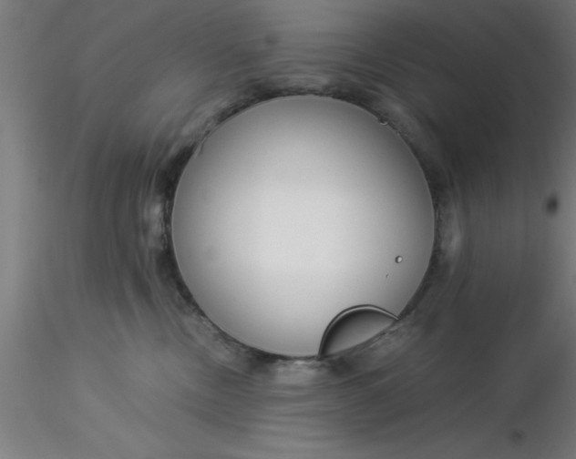 X0000116370378200912231321