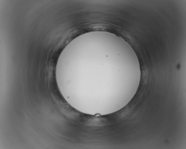 X0000116370379200912231321