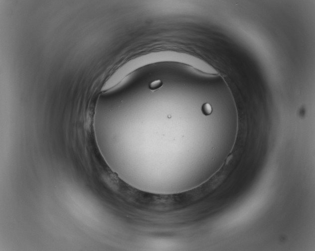 X0000116370382200912231321