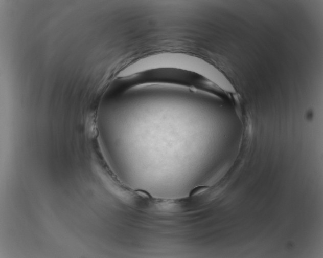 X0000116370383200912231321