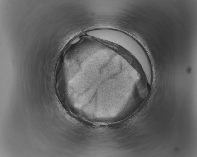 X0000116370385200912231320