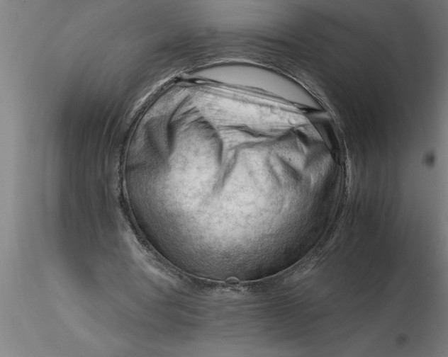 X0000116370386200912231320