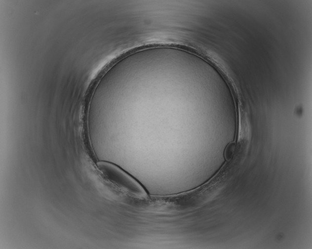 X0000116370387200912231320