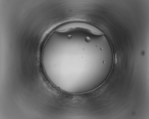 X0000116370388200912231320