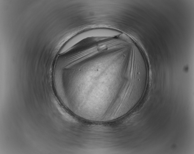 X0000116370389200912231320