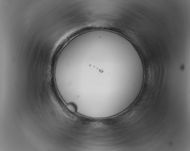 X0000116370392200912231320