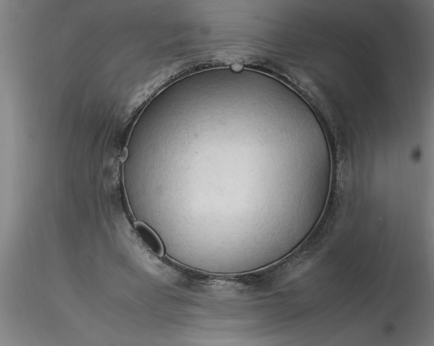 X0000116370393200912231320