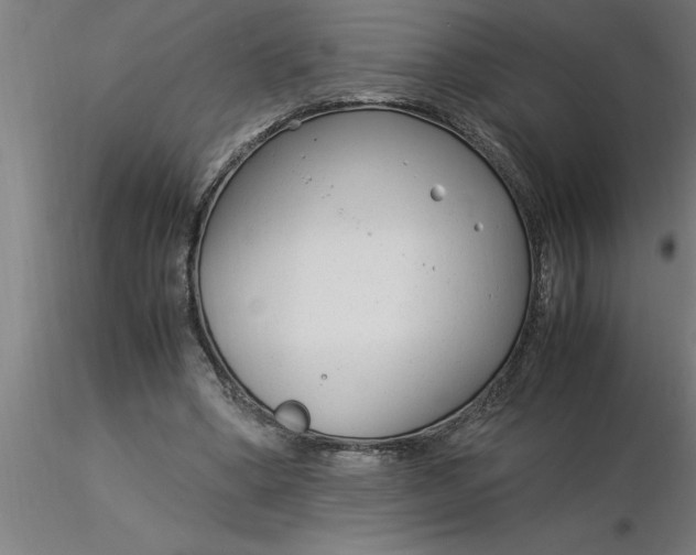 X0000116370394200912231320