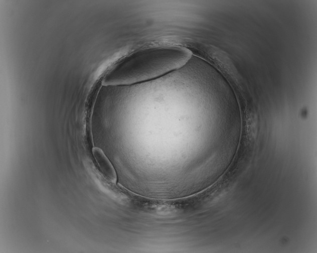 X0000116370395200912231320