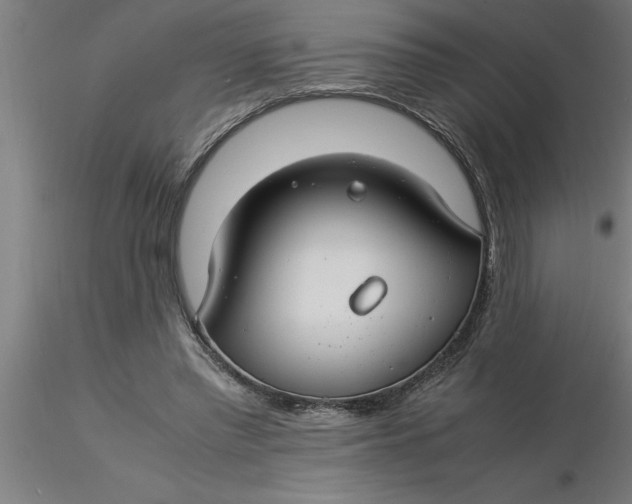 X0000116370397200912231320