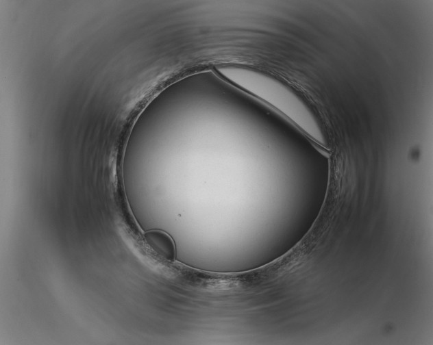 X0000116370398200912231320