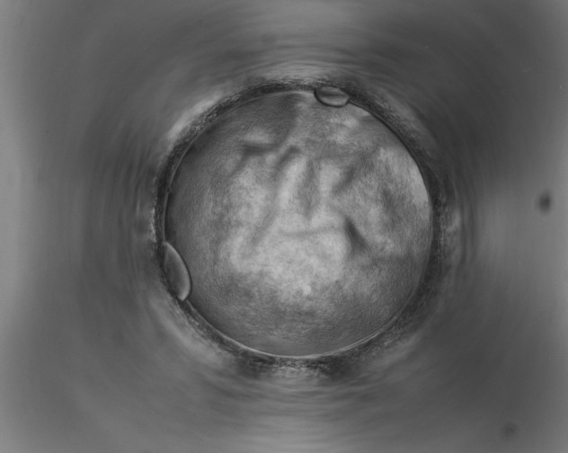 X0000116370399200912231320