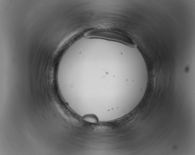 X0000116370400200912231320