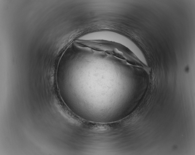 X0000116370402200912231320