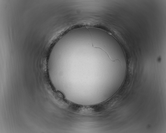 X0000116370403200912231320