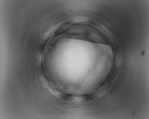 X0000116370405200912231320