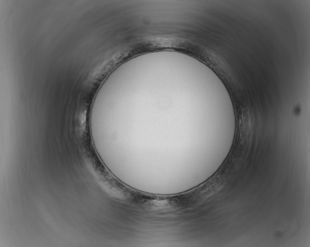 X0000116370406200912231320