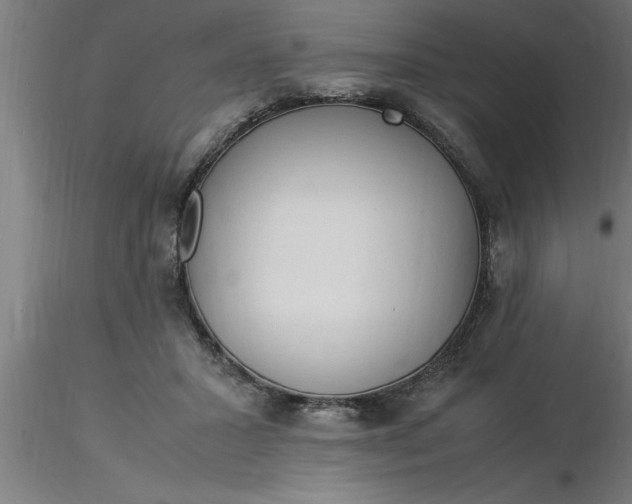 X0000116370407200912231320