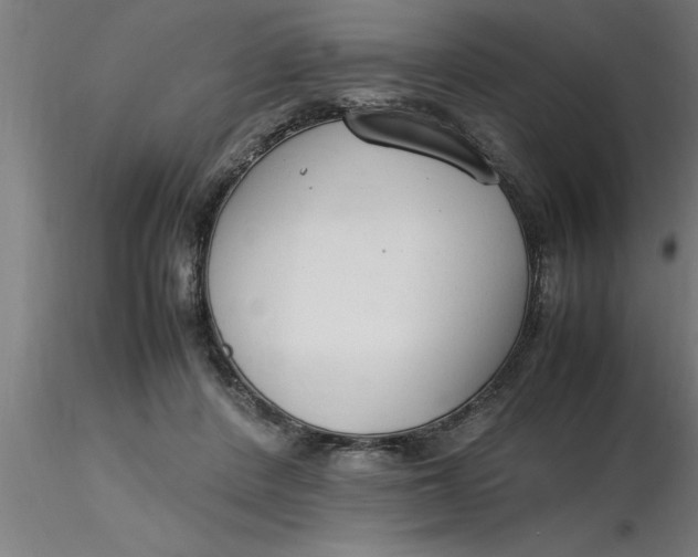 X0000116370408200912231320