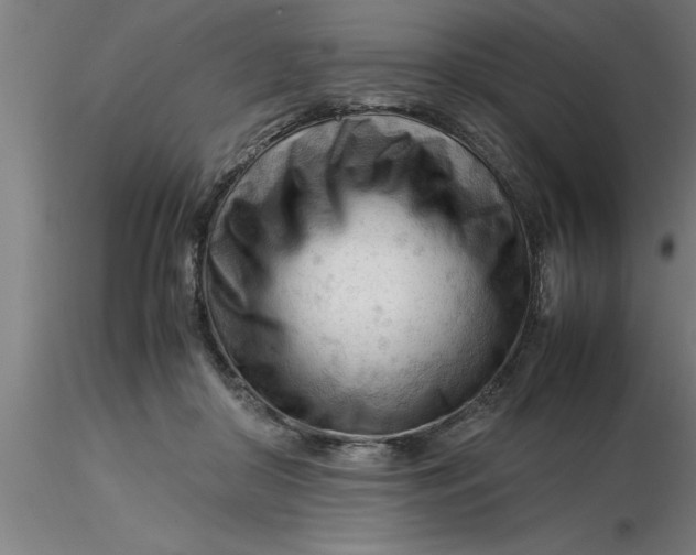 X0000116370410200912231320