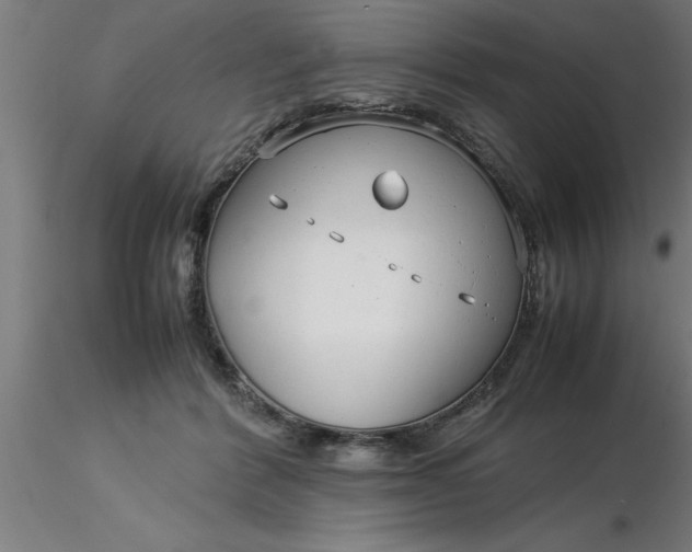 X0000116370412200912231320