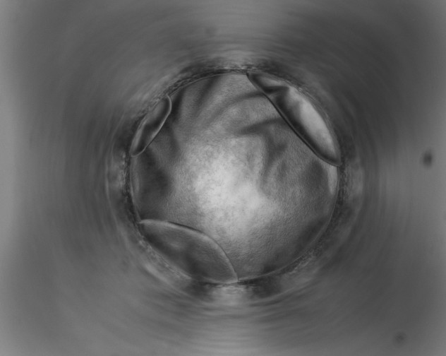 X0000116370413200912231320