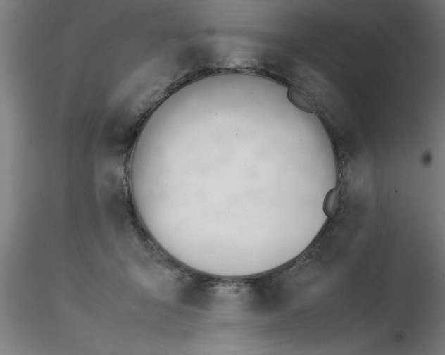 X0000116370415200912231320