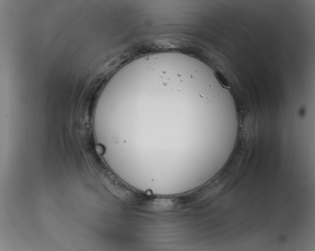 X0000116370418200912231320