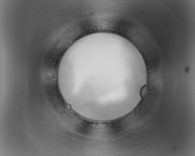 X0000116370419200912231320