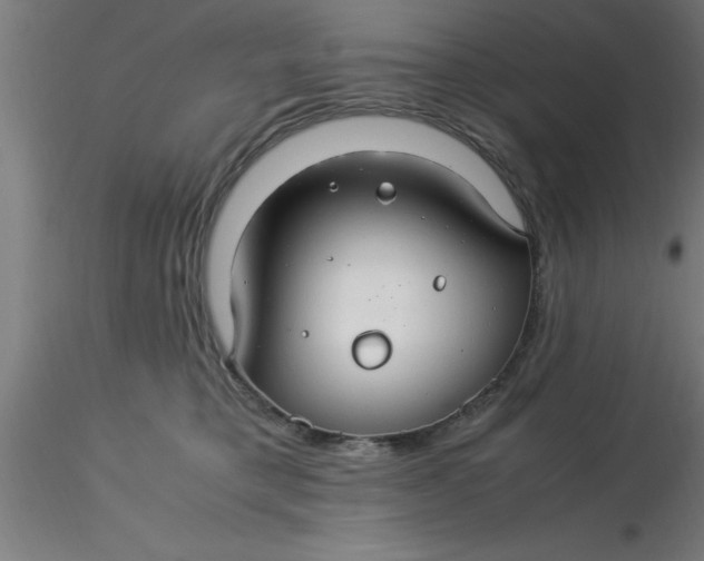 X0000116370421200912231320